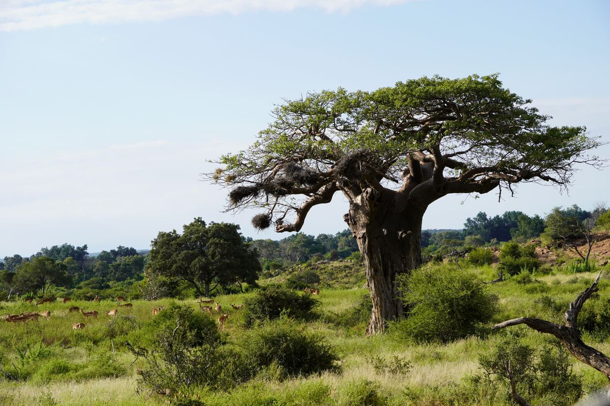 MUFASA fieldwork