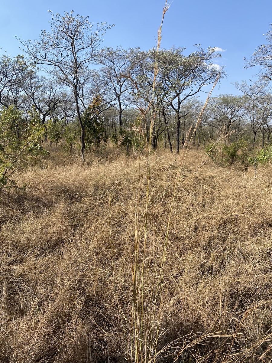 MUFASA fieldwork